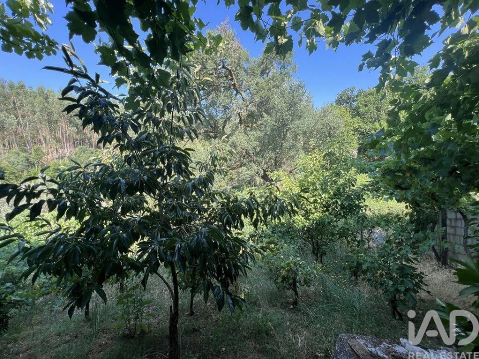 Moradia T2 para Venda em Espinhal Foto 23