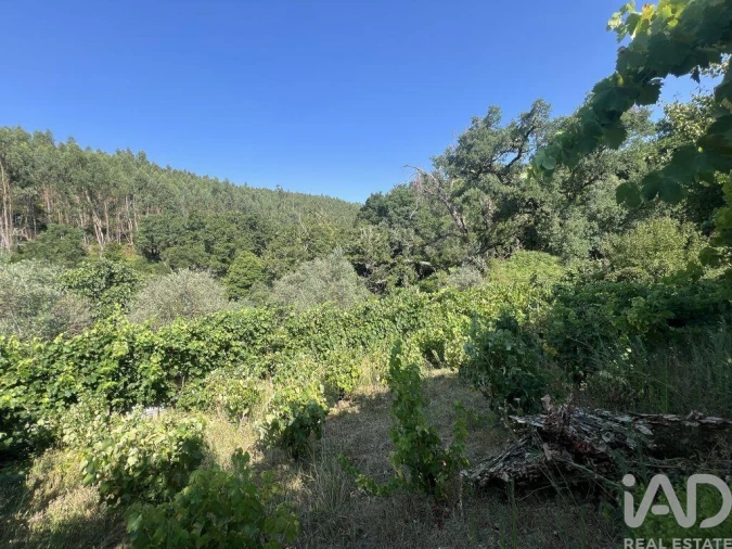 Moradia T2 para Venda em Espinhal Foto 30