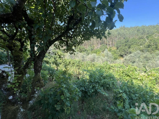 Moradia T2 para Venda em Espinhal Foto 26