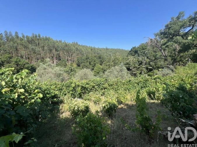 Moradia T2 para Venda em Espinhal Foto 29