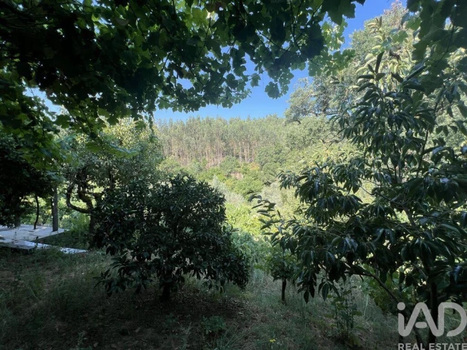 Moradia T2 para Venda em Espinhal Foto 24