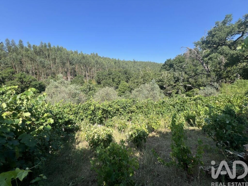 Moradia T2 para Venda em Espinhal Foto 29