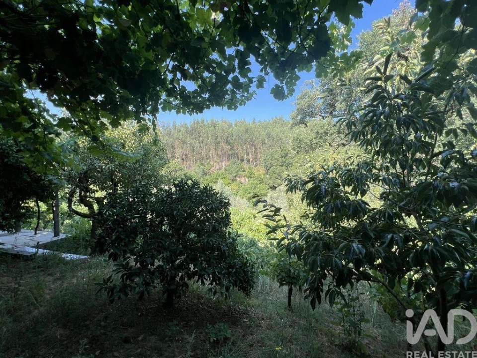 Moradia T2 para Venda em Espinhal Foto 24