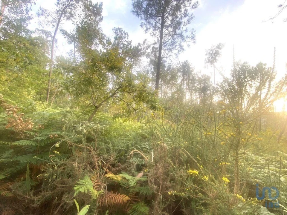 Terreno para Venda em Sapardos Foto 7