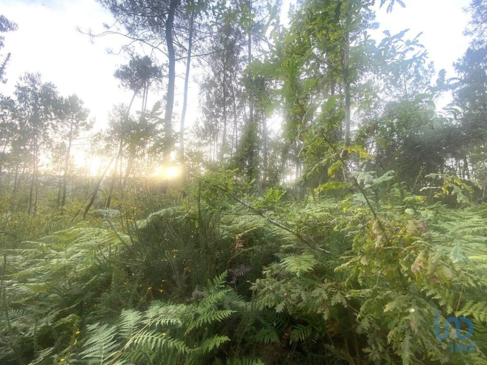 Terreno para Venda em Sapardos Foto 5