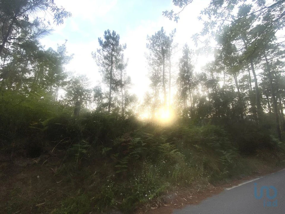 Terreno para Venda em Sapardos Foto 4