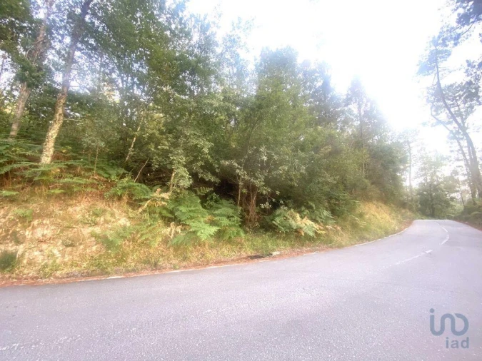 Terreno para Venda em Sapardos