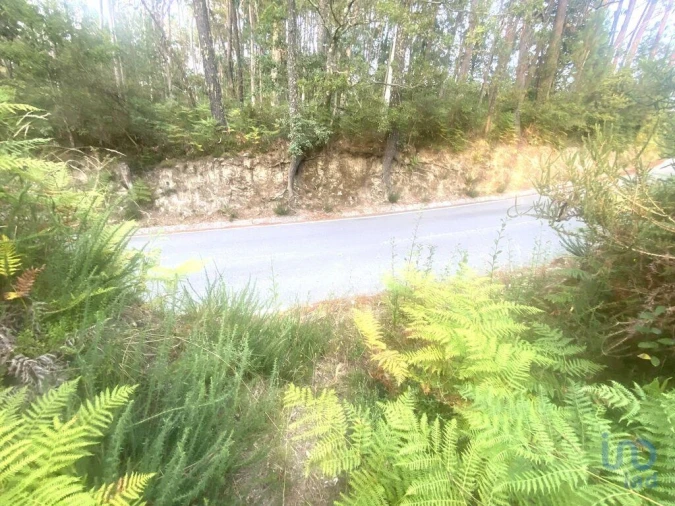 Terreno para Venda em Sapardos Foto 3