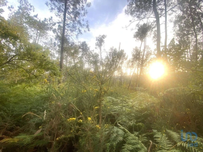 Terreno para Venda em Sapardos Foto 6