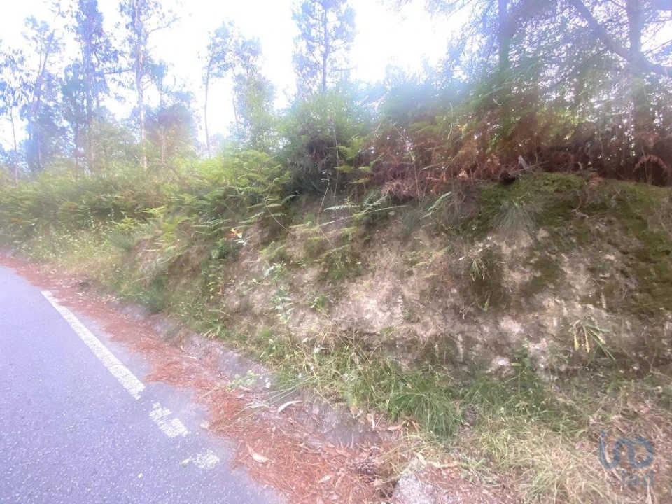 Terreno para Venda em Sapardos Foto 2