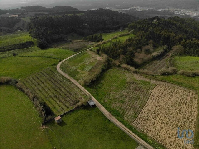Terreno para Venda em Famalicão Foto 10