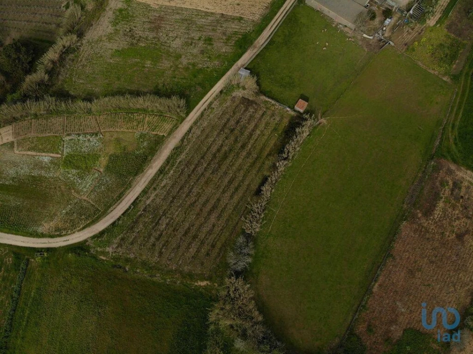 Terreno para Venda em Famalicão Foto 13