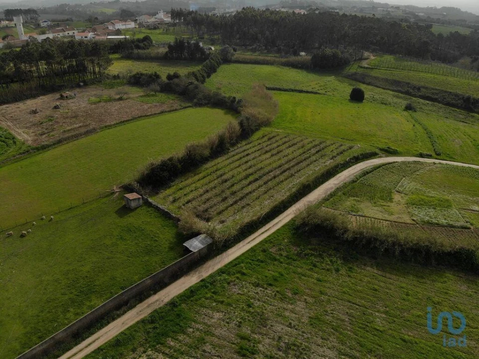 Terreno para Venda em Famalicão Foto 12