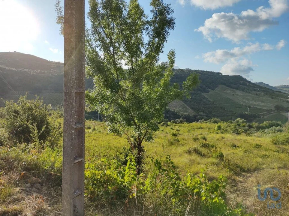 Terreno para Venda em Arranho Foto 3