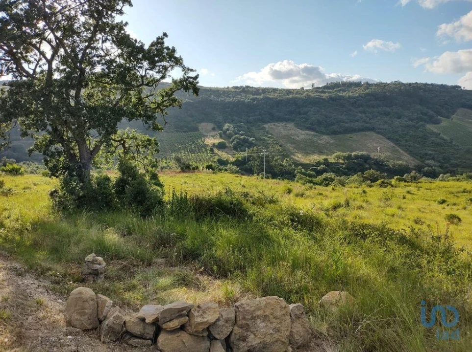 Terreno para Venda em Arranho Foto 12