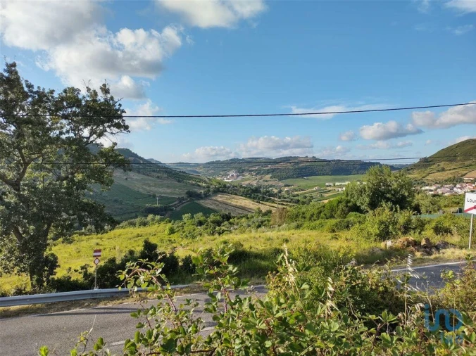 Terreno para Venda em Arranho Foto 10