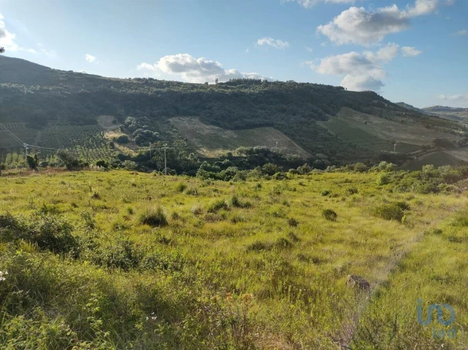 Terreno para Venda em Arranho Foto 7