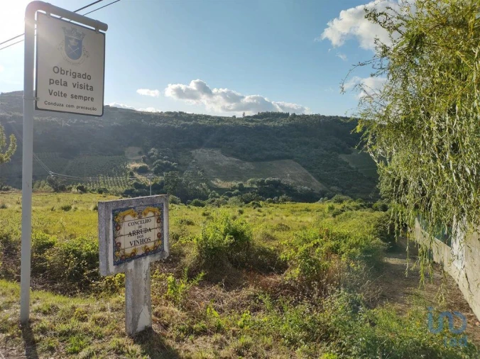 Terreno para Venda em Arranho Foto 4