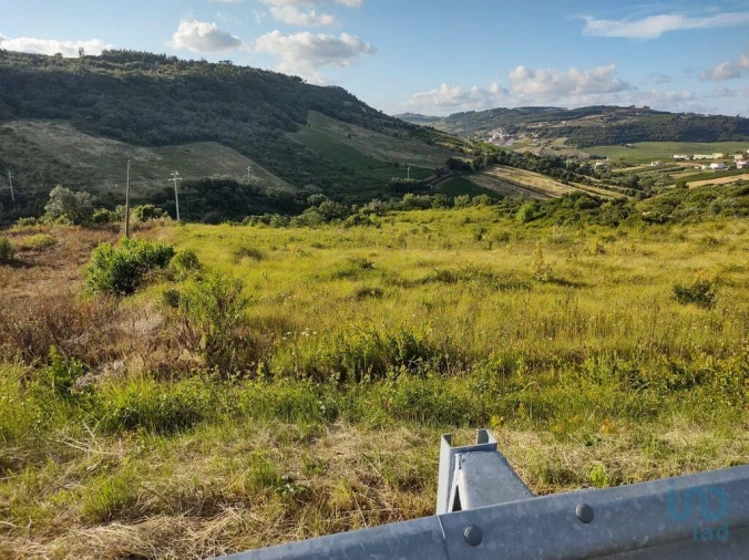 Terreno para Venda em Arranho Foto 13