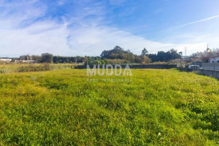 Moradia T3 para Venda em Maceda Foto 52