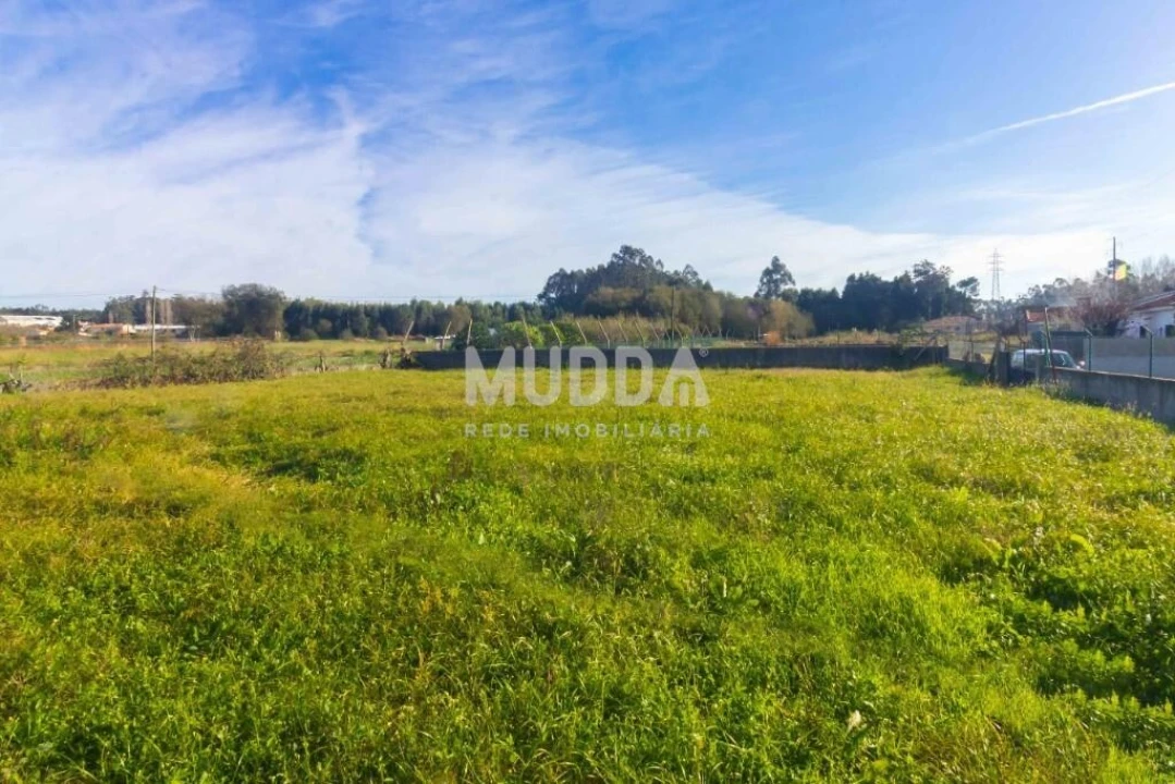 Moradia T3 para Venda em Maceda Foto 52