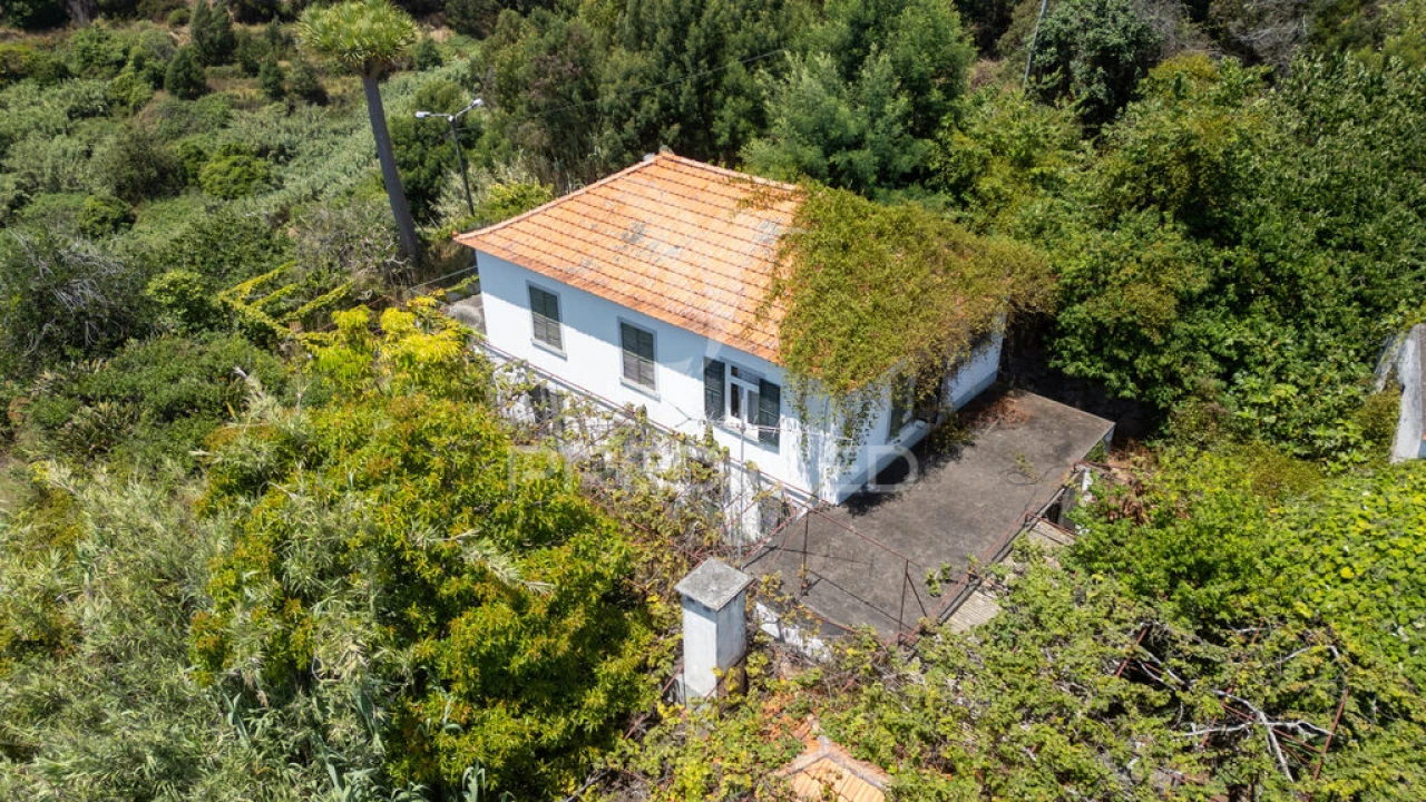 Terreno para Venda em Caniço Foto 4
