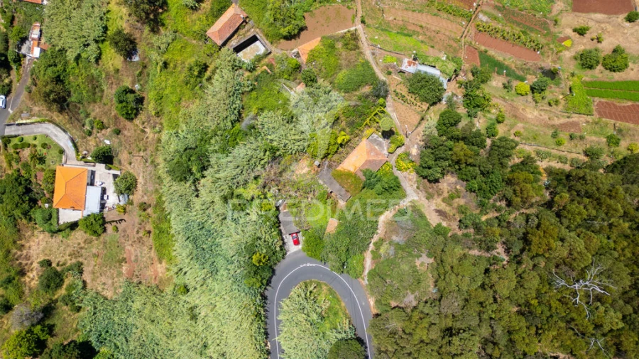 Terreno para Venda em Caniço Foto 6