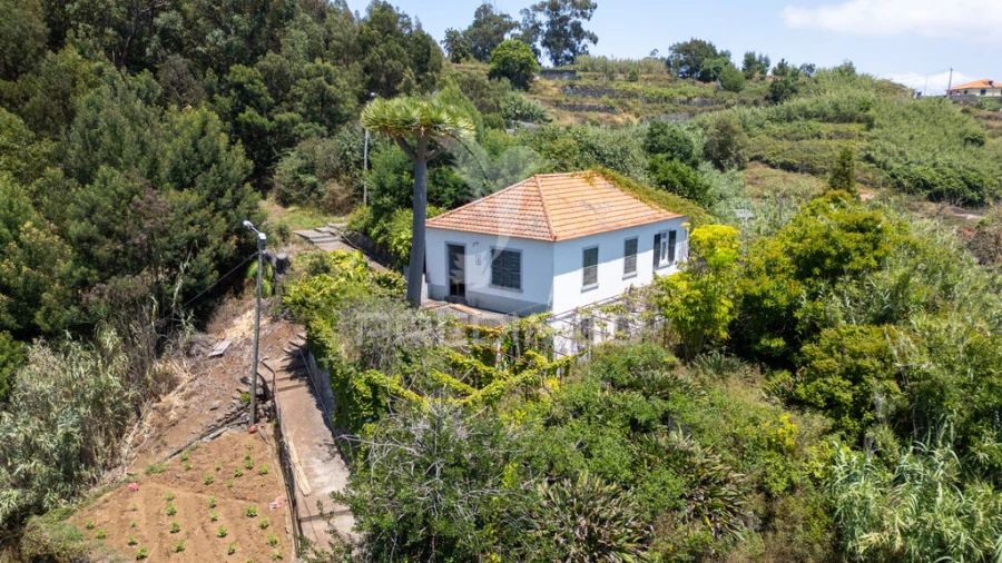 Terreno para Venda em Caniço