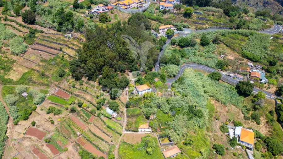 Terreno para Venda em Caniço Foto 11