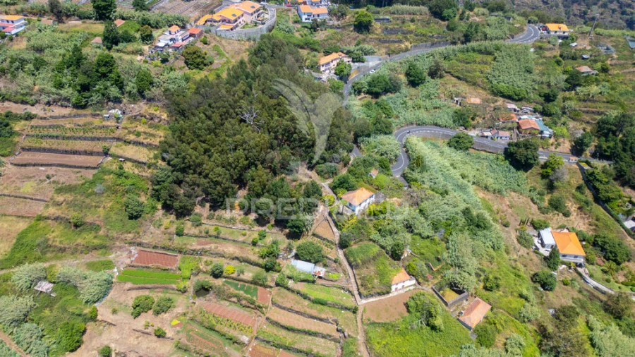 Terreno para Venda em Caniço Foto 12
