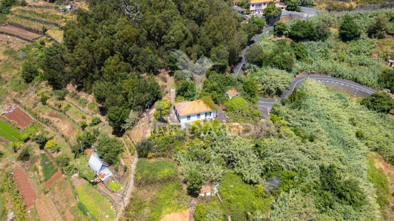 Terreno para Venda em Caniço Foto 5