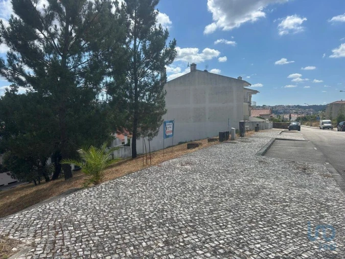 Terreno para Venda em Pombal Foto 6
