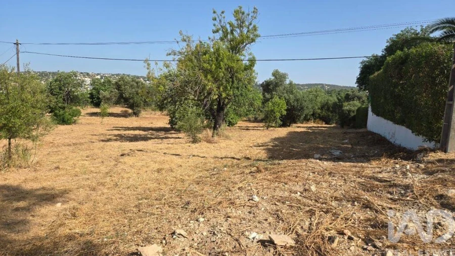 Terreno para Venda em Boliqueime Foto 25