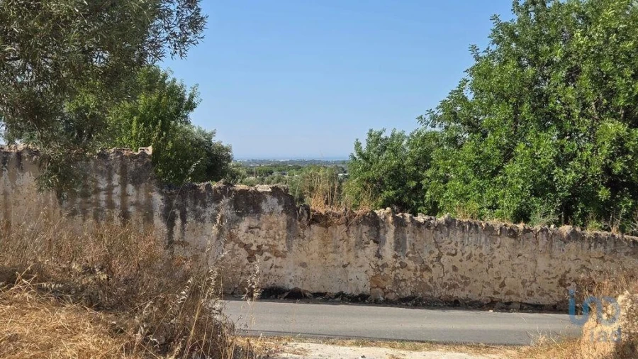 Terreno para Venda em Boliqueime Foto 3