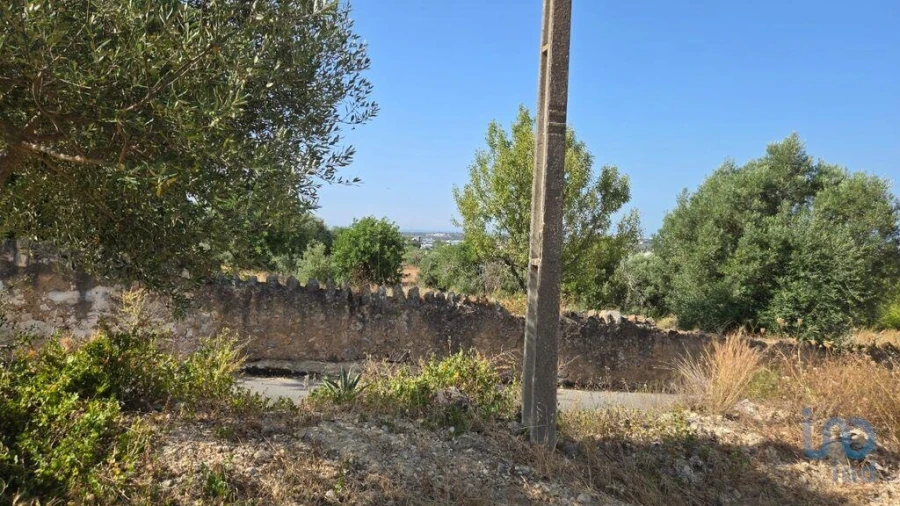 Terreno para Venda em Boliqueime Foto 12