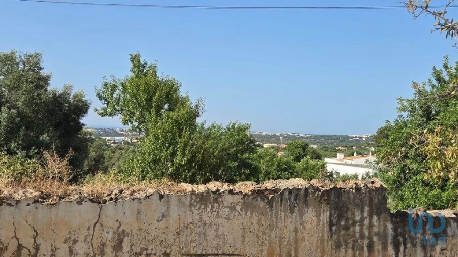 Terreno para Venda em Boliqueime