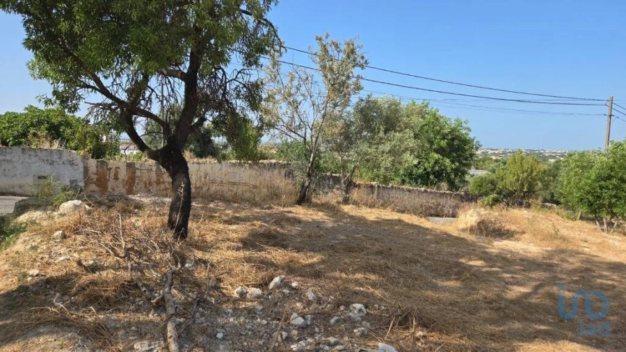 Terreno para Venda em Boliqueime Foto 7