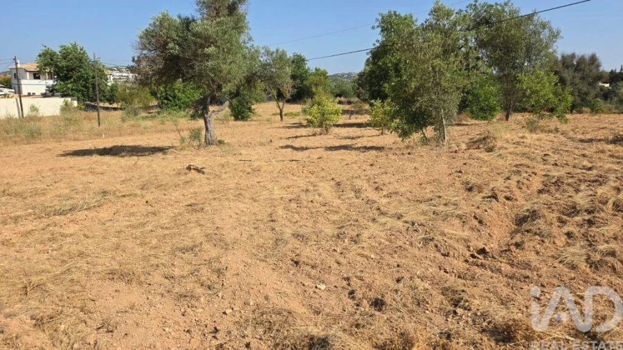 Terreno para Venda em Boliqueime Foto 19