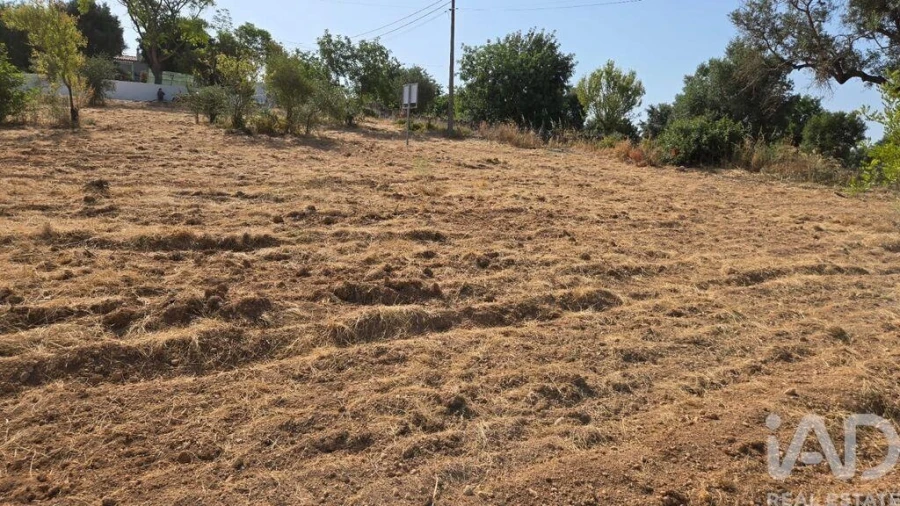 Terreno para Venda em Boliqueime Foto 15