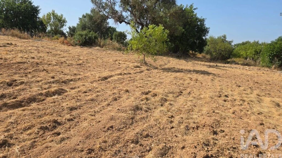 Terreno para Venda em Boliqueime Foto 17