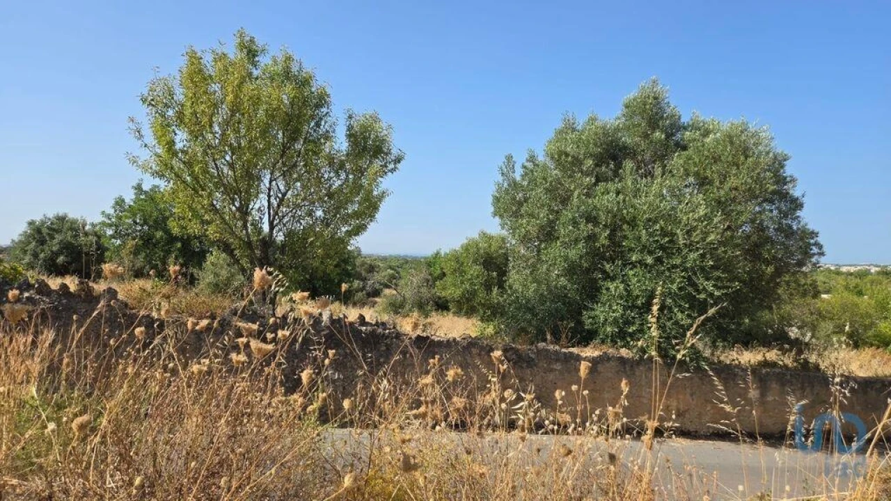 Terreno para Venda em Boliqueime Foto 13