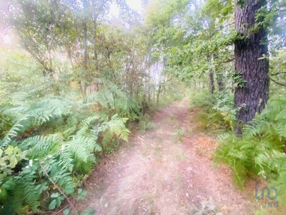 Terreno para Venda em Sapardos Foto 6