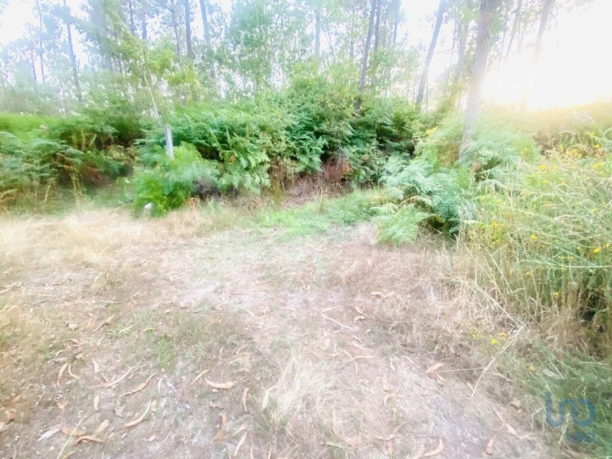 Terreno para Venda em Sapardos Foto 7