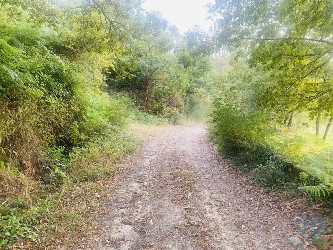 Terreno para Venda em Sapardos Foto 2