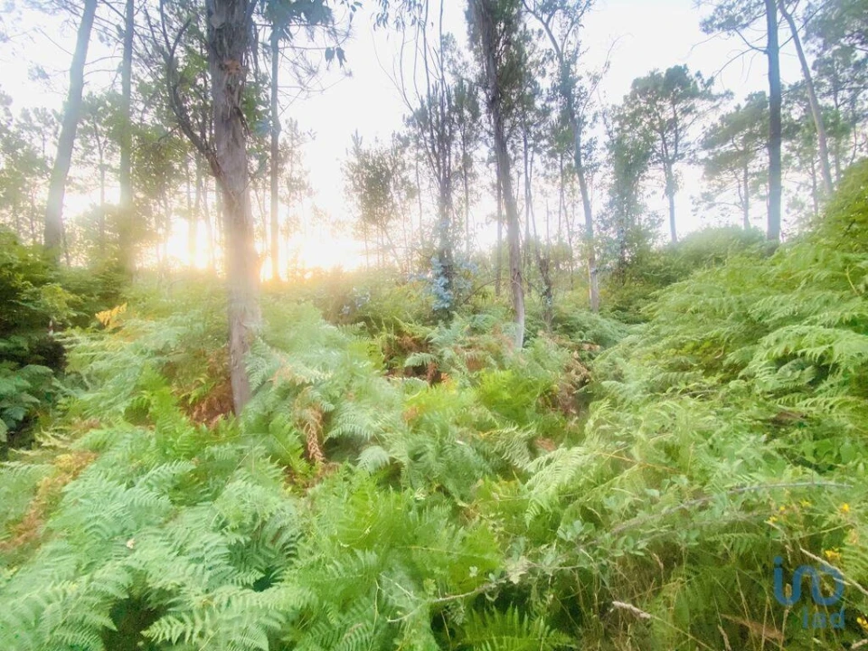 Terreno para Venda em Sapardos Foto 1