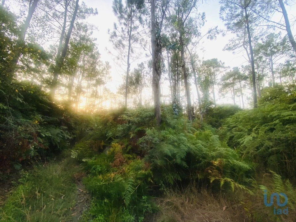 Terreno para Venda em Sapardos Foto 4