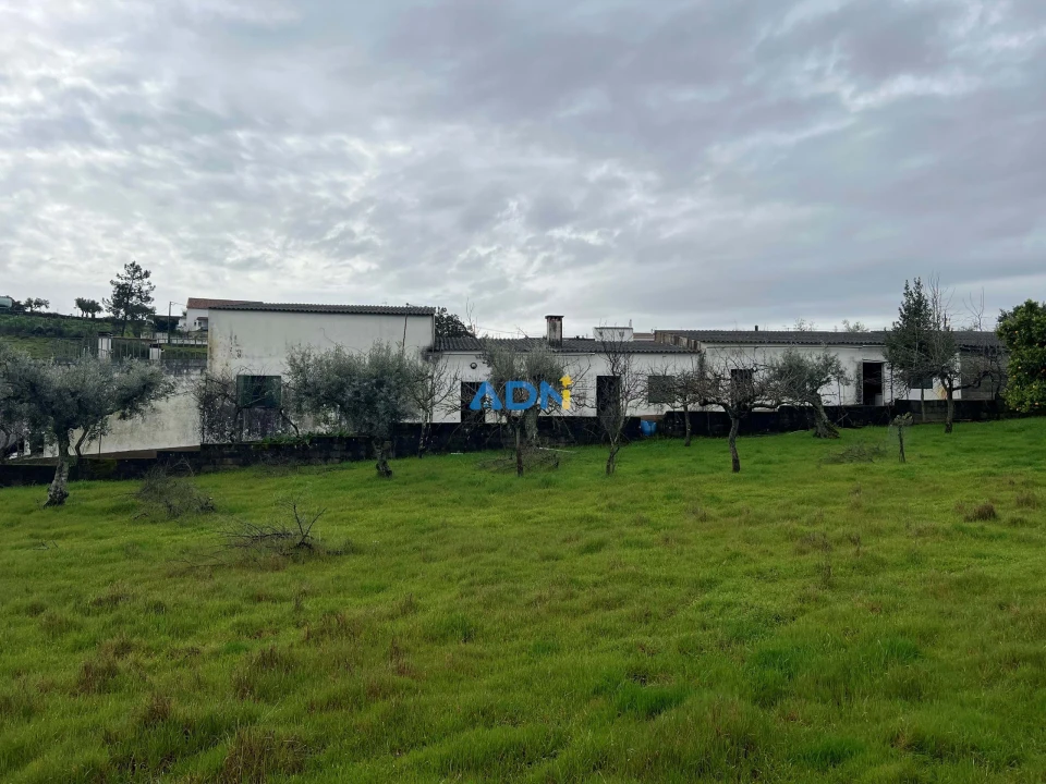 Quinta para Venda em Castelo Branco Foto 1