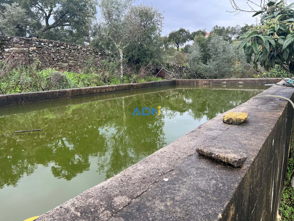Quinta para Venda em Castelo Branco Foto 3
