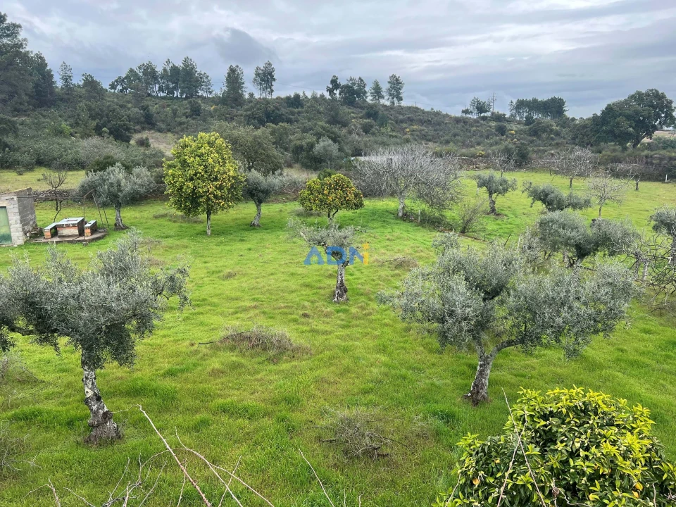 Quinta para Venda em Castelo Branco Foto 28