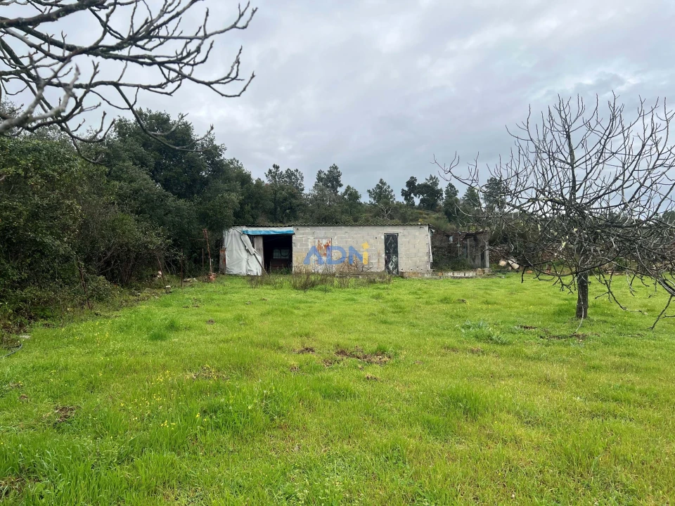 Quinta para Venda em Castelo Branco Foto 20